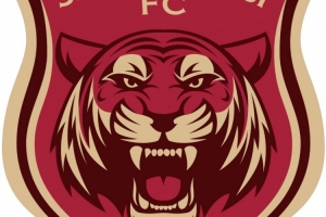 记者谈上海嘉定汇龙搬去宁波：中甲运营成本太高，在中乙还能坚持