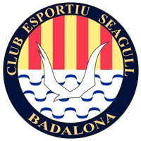 瓦尔德菲耶罗女足