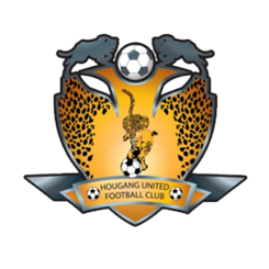 淡宾尼斯流浪者