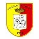 朱利亚诺瓦队标志 NBA直播