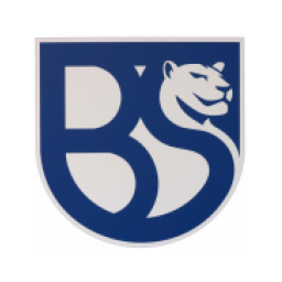 布雷西亚联合队标志 NBA直播